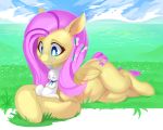  2019 absurd_res cutie_mark day digital_media_(artwork) duo equid equine eyes_closed feathered_wings feathers feral fluttershy_(mlp) friendship_is_magic grass hair hi_res mammal my_little_pony outside pink_hair pterippus shnider smile wings 