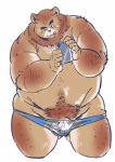  2019 anthro belly brown_fur bulge clothing fur hi_res humanoid_hands male mammal moobs navel one_eye_closed overweight overweight_male phone raozone simple_background solo tongue tongue_out underwear ursid white_background wink 