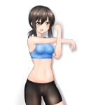  1girl alternate_costume bike_shorts black_hair black_shorts blue_sports_bra brown_eyes cameltoe commentary_request cowboy_shot cross-body_stretch fubuki_(kantai_collection) highres kantai_collection kiyu_fuyuki long_hair looking_at_viewer low_ponytail midriff navel ponytail shadow short_ponytail shorts sidelocks simple_background solo white_background 