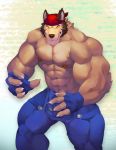  2019 abs anthro biceps bottomwear bozi canid canine clothing digital_media_(artwork) fingerless_gloves fur gloves handwear hi_res male mammal muscular muscular_male nipples pecs simple_background solo 
