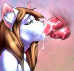  2019 anthro balls dantae_meoi digital_media_(artwork) disembodied_penis domestic_cat duo felid feline felis fellatio female female_focus fur hair hi_res long_hair male male/female mammal oral penile penis sex simple_background solo_focus tantlysa white_fur 