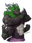  4_arms anthro biceps big_muscles clothing dragon dunai_the_dragon elranno fur green_fur green_hair hair hi_res horn male multi_arm multi_limb multi_pec multifur muscular muscular_male pecs scalie solo western_dragon 