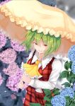  1girl :d absurdres ascot bangs blue_flower blurry blurry_background breasts commentary_request eyebrows_visible_through_hair flower frilled_ascot frilled_shirt_collar frills green_hair hair_between_eyes highres holding holding_umbrella hydrangea kazami_yuuka leaf long_sleeves looking_at_viewer medium_breasts open_mouth pink_flower plaid plaid_skirt plaid_vest red_eyes red_skirt red_vest shirt short_hair signature skirt skirt_set smile solanikieru solo touhou umbrella vest water_drop white_shirt yellow_neckwear 