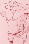  2019 2:3 bulge canid canine canis clothed clothing domestic_dog fur hi_res husky jockstrap kyawei looking_at_viewer male mammal muscular muscular_male nordic_sled_dog pecs penis penis_base simple_background smile solo spitz underwear 