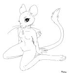  2016 abject breasts featureless_breasts featureless_crotch female looking_at_viewer mammal monochrome mouse murid murine navel rodent simple_background solo white_background 
