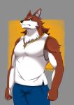  2018 anthro black_nose blue_bottomwear blue_clothing blue_eyes bottomwear brown_fur canid canine cheek_tuft clothed clothing front_view fully_clothed fur fur_tuft grey_background head_tuft hi_res male mammal multicolored_fur shirt simple_background sleeveless_shirt solo topwear tori2tea tuft two_tone_fur white_clothing white_fur white_shirt white_topwear yellow_background 