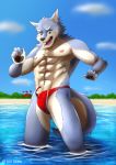  2018 5_fingers abs anthro black_pawpads blue_sky bulge canid canine clothing cloud day fingers fur grey_fur hi_res humanoid_hands looking_down male mammal multicolored_fur muscular muscular_male nipples open_mouth outside partially_submerged pawpads red_clothing red_swimwear sky solo swimwear tan_fur teeth tori2tea two_tone_fur wardrobe_malfunction water 