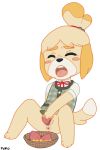  2016 abject animal_crossing anthro anus blush canid canine canis domestic_dog eyes_closed female food fruit improvised_sex_toy isabelle_(animal_crossing) mammal masturbation nintendo open_mouth peach_(fruit) plant pussy shih_tzu solo toy_dog video_games 