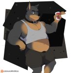  alex_kitsune anthro barazoku bottomwear canid canine canis clothed clothing collar domestic_dog hi_res looking_at_viewer male mammal musclegut muscular pubes shirt shorts simple_background solo tank_top topwear 