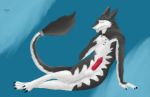  2019 anthro balls blue_eyes claws collar digital_media_(artwork) digital_painting_(artwork) erection fur goran_novak grey_fur handsomest hi_res lying male mammal nude penis presenting sergal simple_background smile solo white_fur 