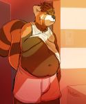  2019 ailurid anthro belly clothing fur hi_res kyawei male mammal overweight red_panda solo underwear 