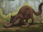  abdominal_bulge brown_fur claws difetra duo feral fur hi_res looking_down mammal marten mustelid musteline nude oral_vore orange_eyes outside pine_marten quadruped reptile scalie snake standing vore 