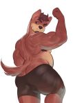  2019 anthro armpit_hair beard belly better_version_at_source brown_eyes brown_fur brown_hair butch_(cursedmarked) butt canid canine canis clothing domestic_dog eyebrows facial_hair flexing fur hair hi_res koshak looking_at_viewer male mammal musclegut one_eye_closed solo underwear wink 