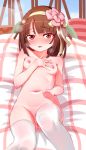  bakemonogatari naked nipples note2000 pussy sengoku_nadeko thighhighs uncensored 