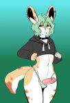  anthro clothed clothing collar crossdressing erection hi_res humanoid_penis lagomorph leporid looking_at_viewer male mammal munks_(artist) penis piercing rabbit smile solo standing wide_hips 