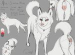  a_dusty_wolf albino anatomically_correct animal_genitalia animal_pussy anus canid canine canine_pussy canis domestic_dog ear_piercing ear_ring female feral flagging husky jewelry mammal model_sheet necklace nordic_sled_dog piercing pussy raised_tail spitz tongue 