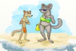  2019 3_toes anthro barefoot big_breasts big_bulge breasts brown_eyes brown_fur bulge capt.hairball chinchilla chinchillid claws clothed clothing disney duke_weaselton duo eyewear female fur grey_fur half-closed_eyes least_weasel male mammal mustela mustelid musteline rodent smile standing sunglasses swimwear toes zootopia 