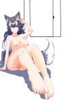  1girl absurdres animal_ears anus arm_support arm_up bangs barefoot black_hair blue_eyes boy_(pixiv17542438) breasts breasts_apart cleft_of_venus closed_mouth collarbone commentary_request door eyebrows_visible_through_hair foreshortening full_body grey_wolf_(kemono_friends) heterochromia highres kemono_friends knees_up looking_at_viewer medium_breasts multicolored_hair nipples nude pussy simple_background sitting smile solo tail toenails toes two-tone_hair white_background white_hair wolf_ears wolf_girl wolf_tail yellow_eyes 