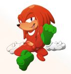  anthro anus balls butt clothing echidna erection gloves half-closed_eyes handwear hi_res humanoid_penis knuckles_the_echidna legwear looking_at_viewer magzol male mammal monotreme navel open_mouth penis purple_eyes socks solo sonic_(series) 