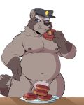  2019 absurd_res anthro balls barely_visible_balls barely_visible_genitalia belly blue_eyes doughnut food fur grey_fur hi_res humanoid_hands male mammal moobs navel nipples overweight overweight_male police police_hat procyonid raccoon simple_background solo vasuki white_background 