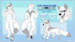  2018 4_toes anthro arctic_fox black_nose blue_eyes canid canine citrinelle digital_media_(artwork) feral fox hi_res mammal model_sheet open_mouth simple_background smile solo teeth toes tongue 