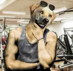  anthro bird_dog bojack_horseman canid canine canis digital_media_(artwork) domestic_dog edit eyewear gym hi_res hunting_dog labrador loryrudess male mammal manipulation mr._peanutbutter netflix photo_manipulation photomorph retriever solo sunglasses 