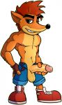  anthro balls bandicoot clothing crash_bandicoot crash_bandicoot_(series) hi_res humanoid_penis male mammal marsupial naughty_dog penis simple_background solo sony_corporation sony_interactive_entertainment video_games walrusmastah white_background 