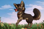  2019 arthropod aseethe brown_fur butterfly canid canine canis day detailed_background digital_media_(artwork) domestic_dog duo feral fur grass insect lepidopteran mammal open_mouth outside sky smile teeth tongue 