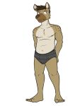  anthro briefs bulge clothed clothing full-length_portrait fuze hi_res hyaenid male mammal navel nipples portrait simple_background solo topless underwear white_background 