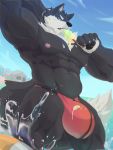  absurd_res anthro beach bulge canid canine clothing dessert food hi_res ice_cream kunn_(artist) looking_at_viewer male mammal muscular muscular_male outside pecs seaside solo standing underwear 
