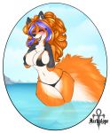 bikini canid canine clothing curvaceous female fox jackalope_(artist) mammal summer swimwear water 