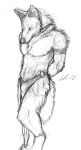  anthro biped canid canine canis clothing collar coyote harem loincloth male mammal sketch solo tuuwa vellum 