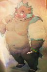  2019 anthro balls belly blush clothing dumdum flaccid gouryou hi_res hoodie humanoid_hands male mammal moobs navel nipples overweight overweight_male penis solo suid suina sus_(pig) tokyo_afterschool_summoners topwear video_games wild_boar 