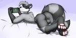  2019 anthro backsack balls black_fur butt clothed clothing fur grey_fur hi_res looking_at_viewer male mammal paws procyonid raccoon solo striped_tail stripes underwear white_fur winter_(artist) 