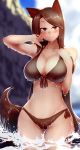  1girl animal_ears arm_up bangs bikini blurry blurry_background blush breasts brown_bikini brown_eyes brown_hair brown_swimsuit cleavage closed_mouth cowboy_shot front-tie_bikini front-tie_top groin half-closed_eyes hand_on_own_cheek hand_on_own_chest hand_up imaizumi_kagerou large_breasts long_hair looking_at_viewer mizuga navel outdoors seductive_smile side-tie_bikini side-tie_bottom smile solo standing stomach swept_bangs swimsuit tail touhou very_long_hair water wet wet_clothes wet_face wet_hair wet_swimsuit wolf_ears wolf_tail 