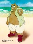  2015 anthro beach belly bottomwear clothing daich eyewear glasses humanoid_hands jacket male mammal moobs overweight overweight_male seaside shorts solo suid suina sus_(pig) topwear water wild_boar 