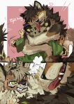  2024 angry anthro biped brown_body brown_fur canid canine canis clothing countershade_fur countershading duo fangs felid feline fight fur green_clothing green_eyes green_shirt green_topwear happy heart_symbol hug leopardus male mammal ocelot shirt teeth tight_hug tongue tongue_out topwear white_body white_countershading windwttom wolf yellow_body yellow_fur 