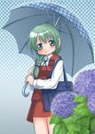  blush braid flower green_eyes green_hair hair_over_shoulder halftone halftone_background hidamari_sketch hydrangea kahis_(sweetbriar) long_hair natsume_(hidamari_sketch) school_uniform skirt solo umbrella 