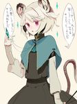  animal_ears blush confession fakepucco grey_hair mouse_ears mouse_tail nazrin pov short_hair solo tail touhou translated 