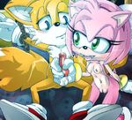  amy_rose animated bcs sonic_team tails 