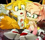  amy_rose animated bcs sega sonic_team tails 