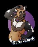  absurd_res african_wild_dog animal_humanoid anthro badge belly black_nose brown_eyes brown_fur canid canid_humanoid canine darius_davis digital_media_(artwork) frohawk fur hair hair_pick hi_res humanoid jewelry male mammal mammal_humanoid multicolored_fur necklace nipple_piercing nipples phoenix-of-starlight piercing portrait smile solo spots traditional_media_(artwork) 