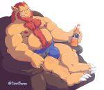  2019 absurd_res alcohol anthro beer belly beverage blush bulge clothing hi_res humanoid_hands jumperbear male mammal moobs nipples overweight overweight_male sitting sofa solo underwear 