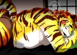  2019 anthro belly blush butt clothing felid humanoid_hands japanese_text lying male mammal moobs overweight overweight_male pantherine pink_nose shintatokoro solo text tiger underwear 