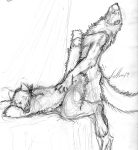  anal bedroom brothel canid canine canis coyote duo from_behind_(disambiguation) graphite_(artwork) grin hi_res inside lying male male/male mammal marten mustelid musteline on_front orgasm pencil_(artwork) pine_marten prescott rough_sex sex sketch smile tongue tongue_out traditional_media_(artwork) tuuwa vellum 