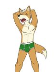  anthro briefs bulge canid canine clothed clothing fox fox_mccloud fuze hands_behind_head hi_res male mammal navel nintendo nipples open_mouth simple_background solo star_fox topless underwear video_games white_background yawn 