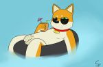  balls beverage canid canine collar eyewear flaccid hi_res looking_at_viewer male mammal penis sketchy_yvun sketchyyvun sunglasses swim_ring swimming_pool 