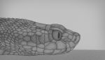  greyscale monochrome reptile santo_fabbro scales scalie shaded simple_background slit_pupils snake 