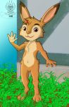  absurd_res anthro cub emmy female flat_chested gesture grass hi_res lagomorph leporid mammal pussy rabbit rabbit_school superabsurd_res waving young 