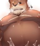  2018 absurd_res anthro belly bodily_fluids brown_fur cum fur genital_fluids hi_res huzkywarrior kunn_hiro male mammal moobs navel nipples overweight overweight_male simple_background solo ursid white_background 
